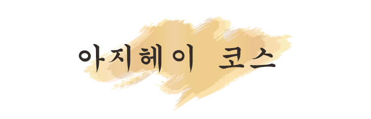 아지헤이 코스